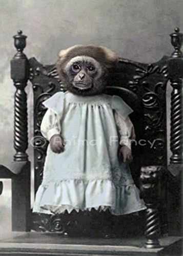 Chimpanzee Art Print - "Little Debbie"