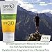 SPF Rx Broad Spectrum Protection Mineral Sunscreen SPF 30 - Bulk Travel Size – Prevent Sunburn, Decreases Risk Of Skin Cancer, Early Aging By Sun – For Women, Men, Kids, Adults - 1 oz, 10 Pack