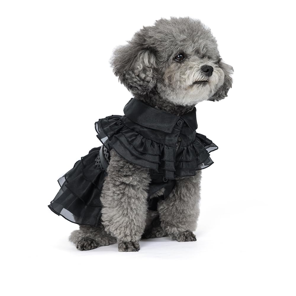 Photo 1 of Pet Dog Cat Wednesday Dress Addams Costume Cosplay Cute Puppy Kitten Black Coat Clothes with Belt Halloween Party Dress up Pretend Play for Small Medium Dogs