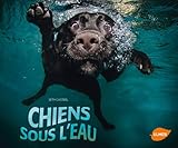 Chiens sous l'eau by 