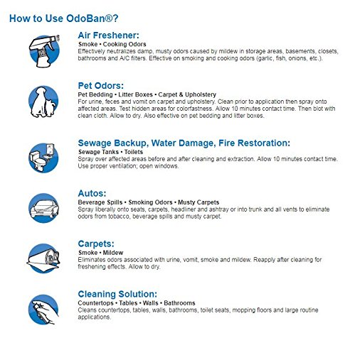 OdoBan Ready-to-Use 32 oz Spray, 4 Bottles, Original Eucalyptus Scent - Odor Eliminator, Disinfectant, Flood Fire Water Damage Restoration