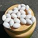 Magnetic Stirrer Stir Bar PTFE Magnetic Mixer Stir Bars (6x10mm, Olive Shape, 10pcs)