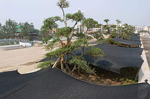 Joylifeboard 90% Sunblock Shade Cloth Net Black Shade Mesh Tarp with Grommets 10ft X 10ft UV Resistant Net Shade Fabric for Plants Garden Greenhouse or Swimming Pool,with 12pcs Ball Bungees,Black