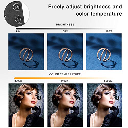 Bi-Color LED Lightweight Video Lights Kit with Tripod Stand Portable Adjustable Brightness Handheld Lamp Photography Studio Continuous Output Lighting Kit for Camera,YouTube Shooting-24W-2 Pack