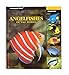 Angelfishes of the World (Oceanographic Series) (Oceanographic Seies) by 
