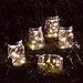 Homeleo 5-Pack Warm White Solar Mason Jar Lid Insert w/ Stainless Steel Hangers, Solar Powered LED Mason Jars Light Up Lid Set(Jars NOT Included)