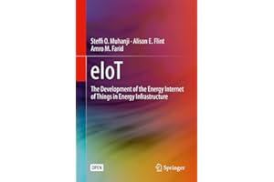 eIoT: The Development of the Energy Internet of Things in Energy Infrastructure