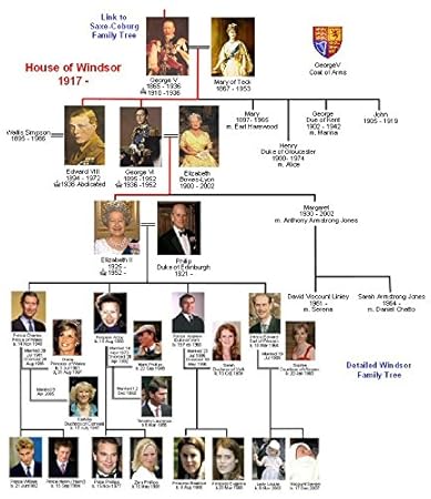 Vinteja Charts Of Windsor Family Tree A3 Poster Print Amazon In Home Kitchen