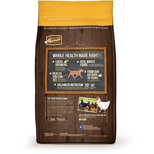 Merrick Grain Free Dry Dog Food New | eBay