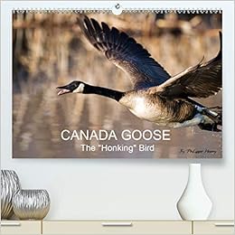 canada goose amazon uk