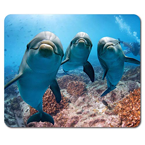 Destination Vinyl Ltd Cute Dolphins Mouse Mat Pad - Underwater Diving Scuba Fun PC Computer #8336