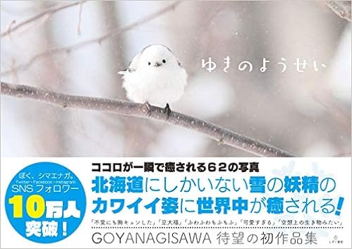 ゆきのようせい やなぎさわ ごう やなぎさわ ごう 本 通販 Amazon