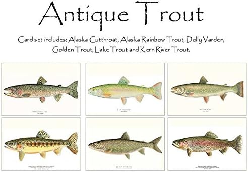 Charting Nature Antique Trout Note Cards
