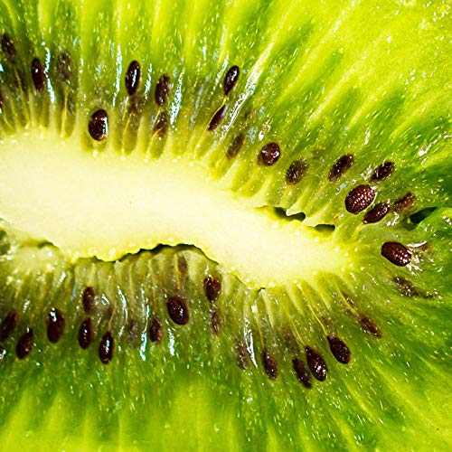 FruttaMax Kiwi Getränkesirup Frucht-sirup Konzentrat | weniger Zucker | mit 60% Fruchtanteil 500ml – Bild 4