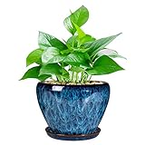Ceramic Modern Glaze Succulent Planter Pot with