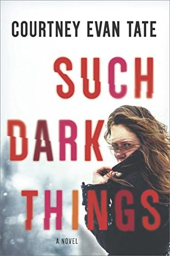 Such Dark Things: A Novel of Psychological Suspense