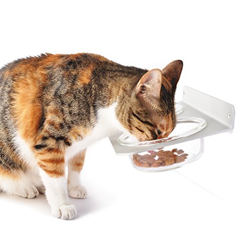 New 4claws Wall Mounted Pet Feeder With Glass Bowls Outlet