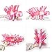 Hallucigenia Stuffed Toy