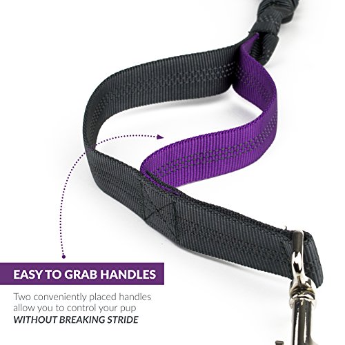 Tuff Mutt Hands Free Dog Leash for Running, Walking, Hiking, Durable