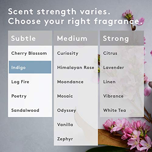 Aera Indigo Home Fragrance Scent Refill Notes of Citrus, Cedarwood