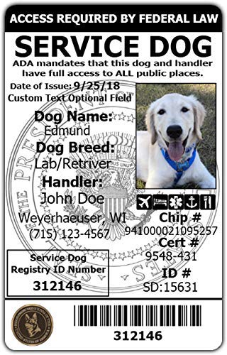 digital service dog id