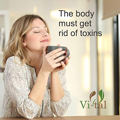 Dr. Miller's Holistic Holy Tea, Weight loss, Detox, Energy, Constipation relief One Month, 8