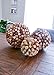 Craft Foam Balls - 1-Pack Large Smooth and Round Polystyrene Foam Balls for Art and Craft Use - Makes DIY Ornaments, Wedding Decor, Science Modeling, School Projects - White (8 inch)