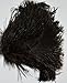 GM Royal Ostrich Feather Duster (Small GM01 (16