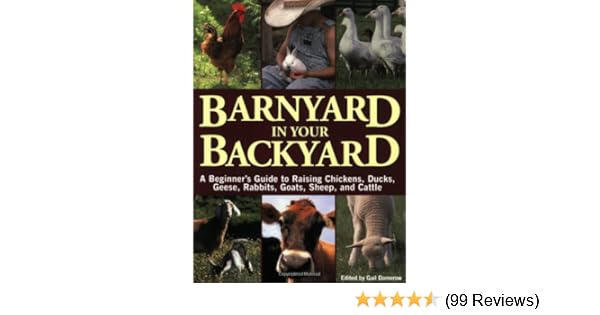 Barnyard In Your Backyard A Beginner S Guide To Raising Chickens