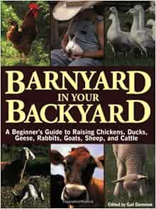 Barnyard In Your Backyard A Beginner S Guide To Raising Chickens