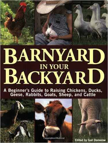 Barnyard in Your Backyard: A Beginner's Guide to Raising Chickens, Ducks, Geese, Rabbits, Goats, Sheep, and Cattle