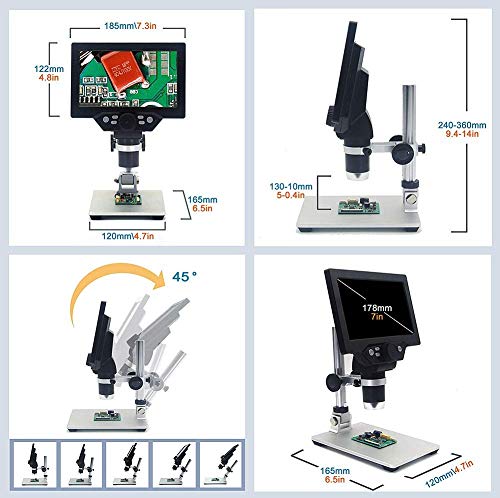 4 Microscope+Maginfication+Yvelines+observing+Identification