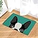 CANDY HOUSE Indoor Super Absorbs Mud Boston Terrier Doormat for Front Door Inside Floor Dirt Mats Non-Slip Entrance Rug 23.6