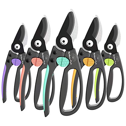 Rainbow Craft 8” Bypass Pruner Shear, Rose Cutters, Herbs Scissors, Plant Trimming Shears for Garden&Lawn – Blue Color