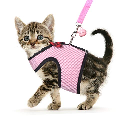 pink cat harness