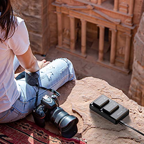 NPFW50 RAVPower Camera Batteries Charger Set with Battery Case for