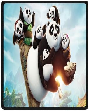Daniellestore Soft Bed sheet Plush Throw Blanket Bedding Sleep Kung Fu Panda 40x50 Inch
