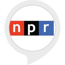 NPR Hourly News Summary