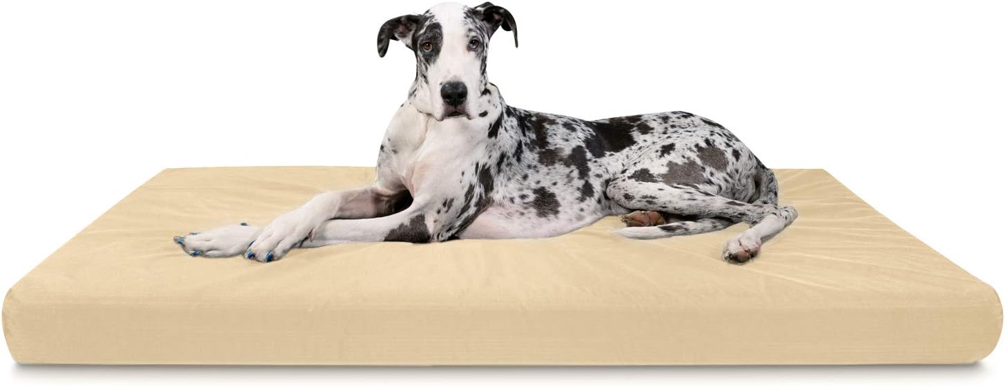 indestructible great dane bed