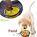 Foldable Portable Dog Bowl Cute Portable Silicone Collapsible Folding Pet Bowl Travel Cat Pet Bowl Feeding Water Food (set of 2)