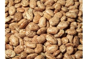 ORGANIC PINTO BEANS- 24.948lb
