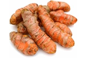 COUNTRY CREEK ACRES GROWING IS IN OUR ROOTS Fresh Turmeric Root - Grown in the USA -2oz of Root, premium quality for growing plants or kitchen use. Turmeric is frequently used to flavor or color curry powders, mustards, butters, and cheeses.