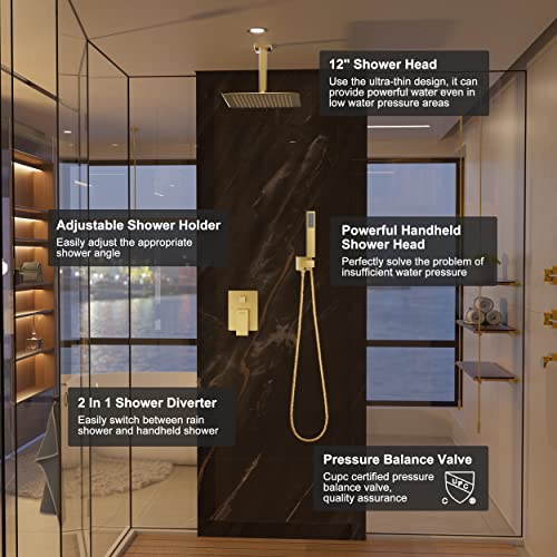 ESNBIA Shower System, Luxury 12 Inches Rain Shower Head with Handheld Combo Set, Ceiling Mounted