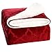 Sherpa Blankets Throws for Womens Girls Faux Furs Fleeces Youth Mens Winter Boyfriends Valentines Fuzzy Soft Warm Plush Fluffy Pretty Washable Cozy TV Blanket, Travel Size 50x60 Rust Red