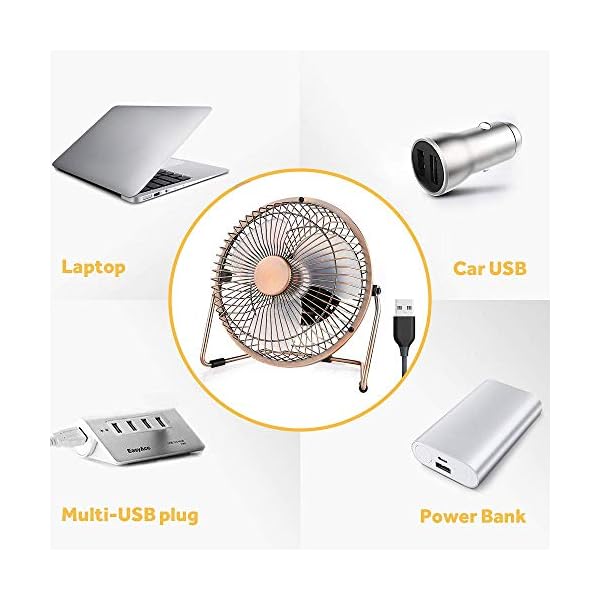 EasyAcc USB Desk Fan 6 Inch Desktop Silent Fan Air Circulator 2 Speeds 360° Rotation Brushless Motor Noiseless for Home…