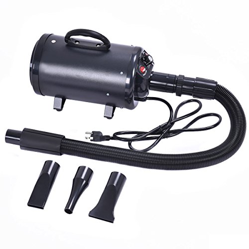 Top 10 Best Dog Grooming Dryers High Velocity Top Reviews No Place
