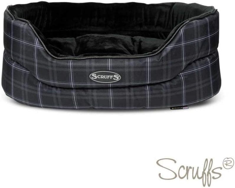 rottweiler black and tan