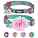 Blueberry Pet Pack of 2 Cat Collars, The Floral Power Relaxing Jungle Green Adjustable Breakaway Cat Collar for Girl & Boy with Bell & Detachable Flower, Neck 9