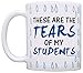 Teacher Gifts Tears of my Students Funny Coworker Gag Gift 11oz Ceramic Coffee Mug