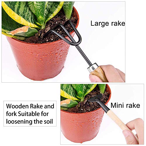 Hanhan 10 Pcs Gardening Bonsai Tools Set Succulent Garden Hand Tool Kit with Shovels, Rakes, Fork, Tweezers, Bud & Leaf Scissor, Cleaning Brush